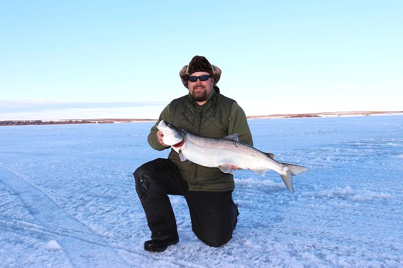 Eisangeln im Internet: Das spannende Spiel ist im Live Casino erhältlich.